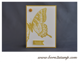 Stampin' UP! Swallowtail InColor