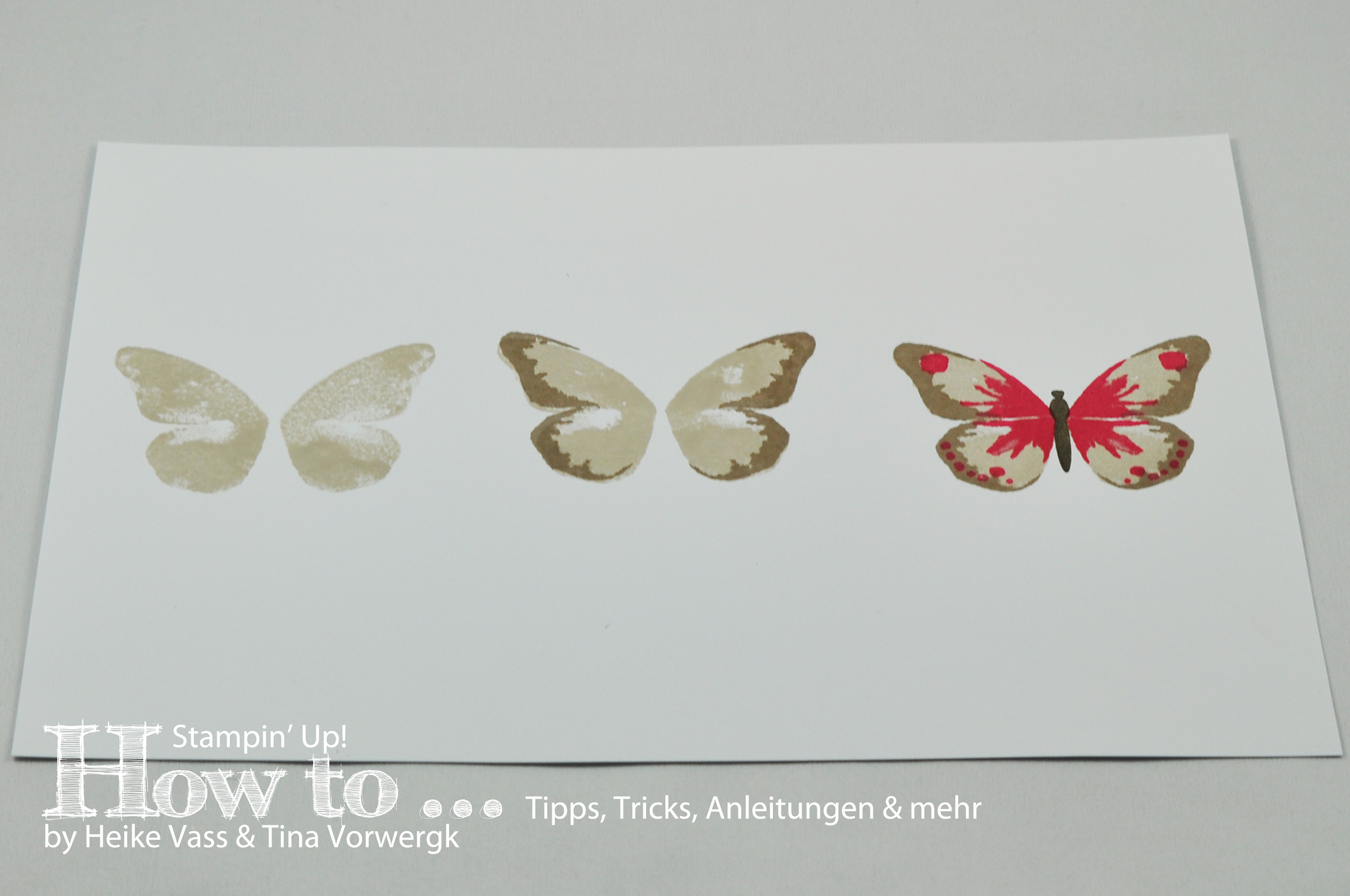 How to… Watercolor Wings Farbkombinationen