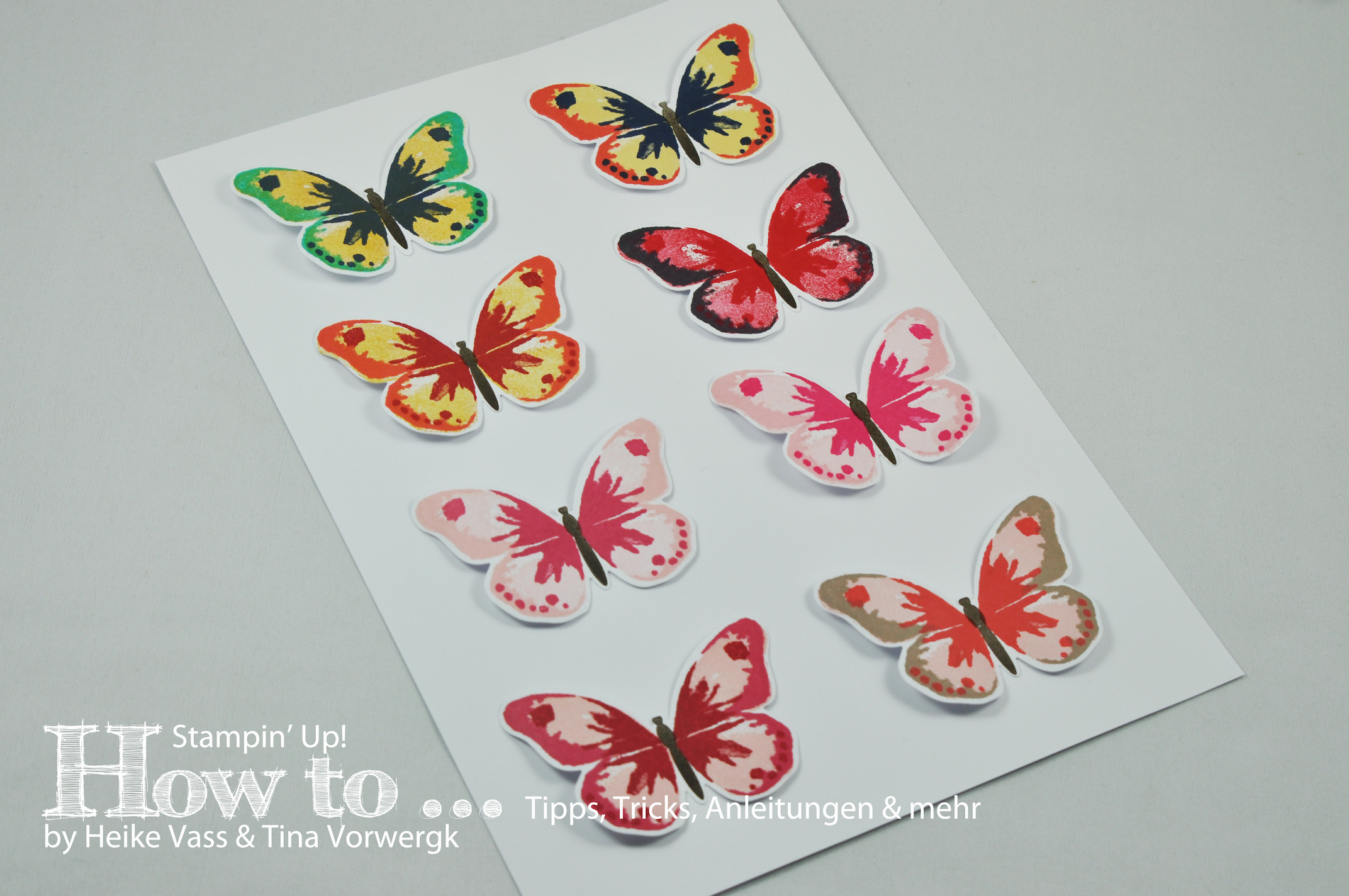 How to… Watercolor Wings Farbkombinationen