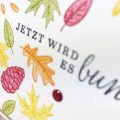 born2stamp Stempelnd durchs Jahr STAMPIN UP - Herbst - Schoener Herbst